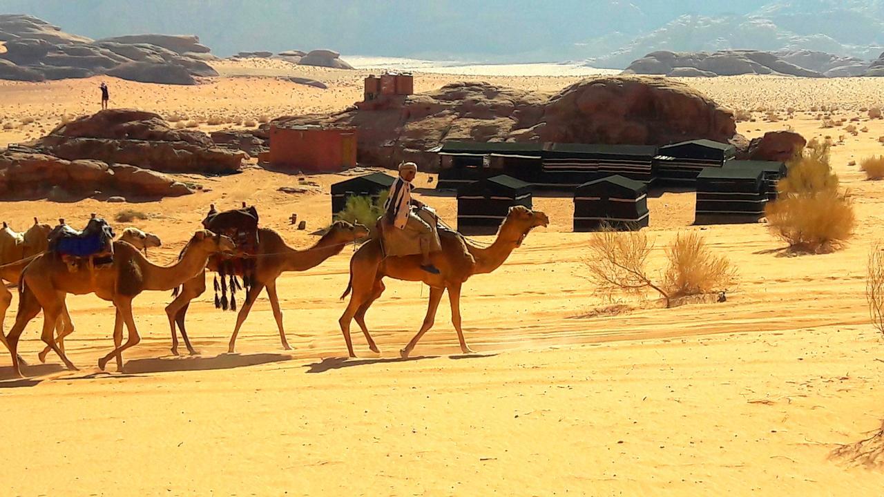 7 Pillars Camp & Jeep Tour In Wadi Rum Desert Екстериор снимка